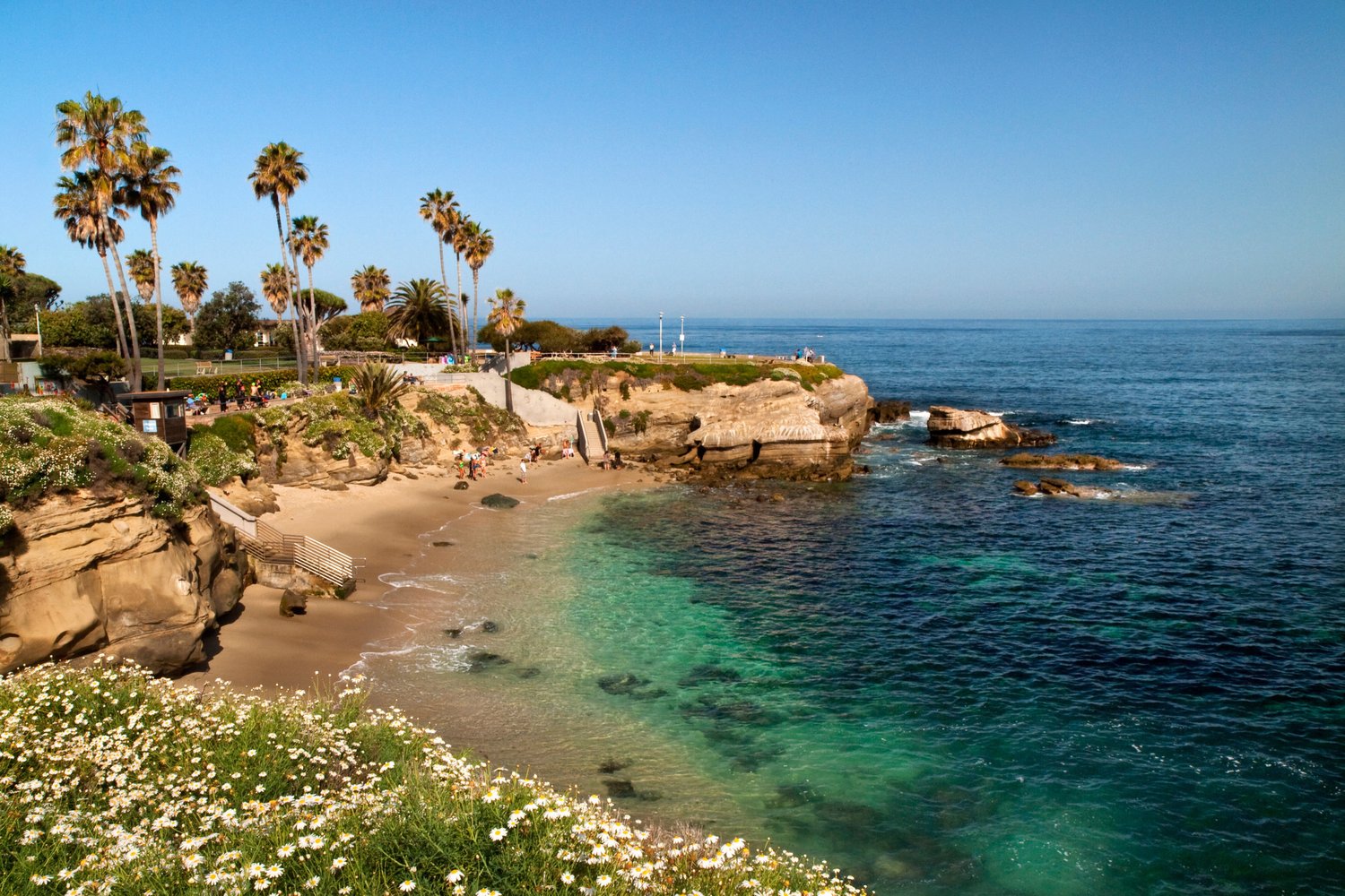 La Jolla Cove and cliffs